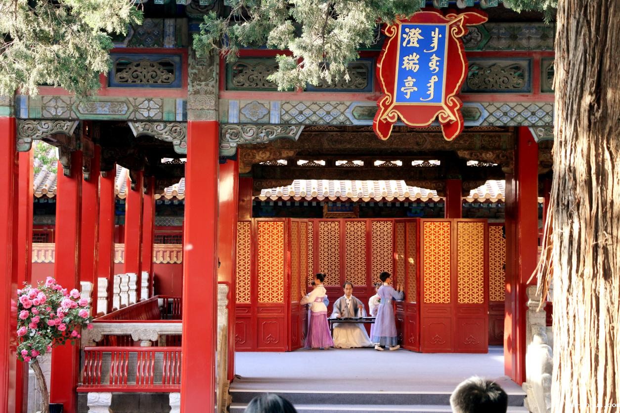 吴寒在故宫御花园为彭教授和多国贵宾抚琴