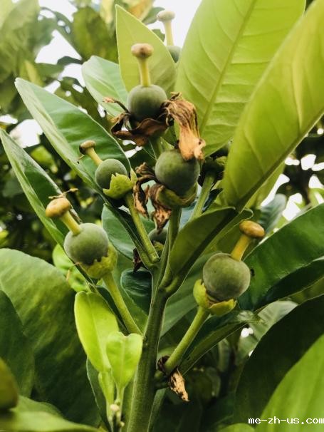 微信图片_20220919165715