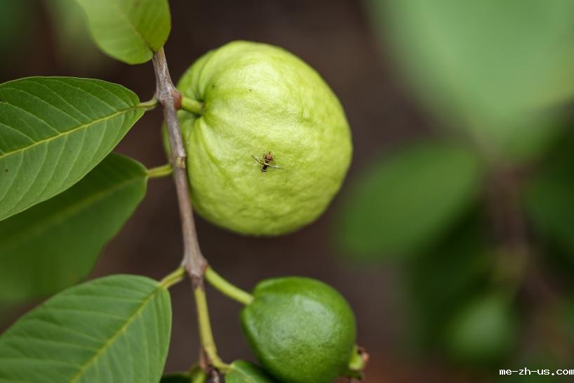 微信图片_20220919170109