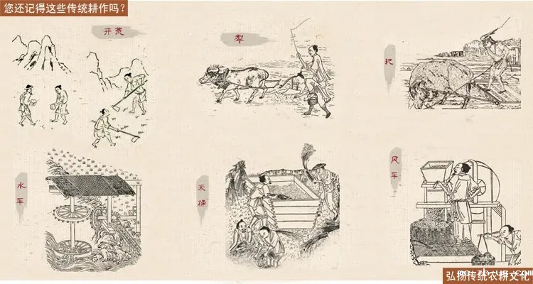 中宣部：未来5年，中华优秀传统文化传承发展这么干！