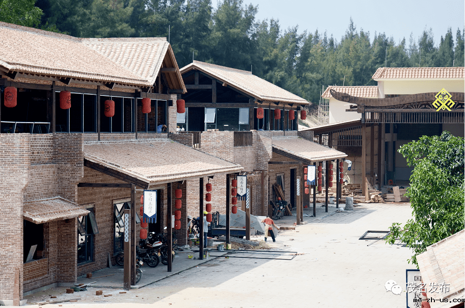 茂名：借力特色文化 助推乡村振兴