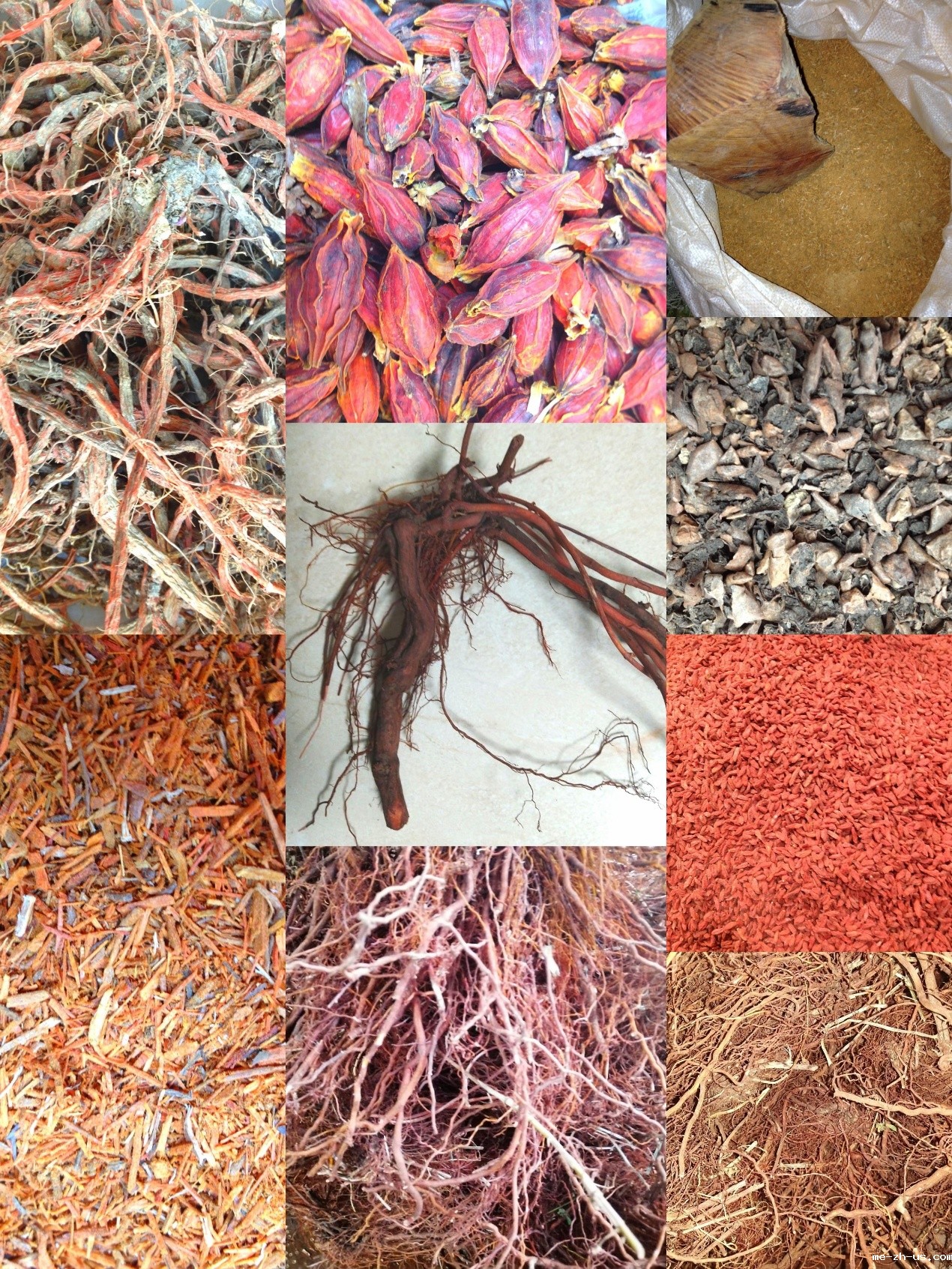  妙手经纬——李东阳、冀豫古毯修复流程展